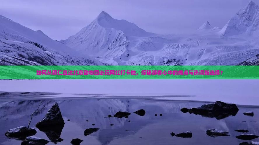 如何从铜仁直达北京动物园必玩网红打卡地，探秘游客心中的痛点与热词新选择？