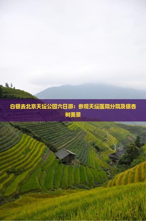白银去北京天坛公园六日游：参观天坛医院分院及银杏树美景