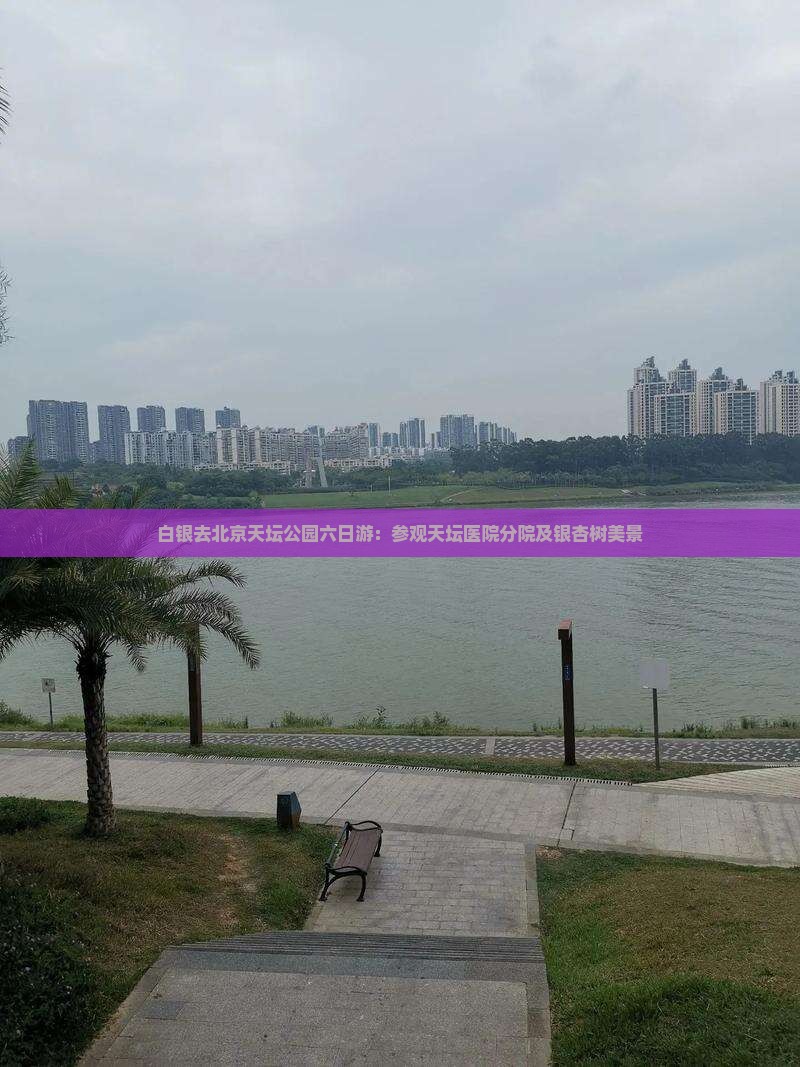 白银去北京天坛公园六日游：参观天坛医院分院及银杏树美景