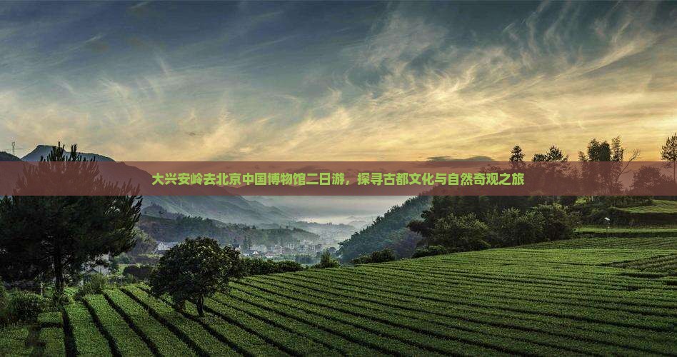 大兴安岭去北京中国博物馆二日游，探寻古都文化与自然奇观之旅