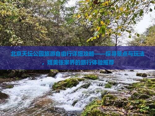 北京天坛公园旅游自由行详细攻略——探寻景点与玩法，媲美张家界的旅行体验推荐