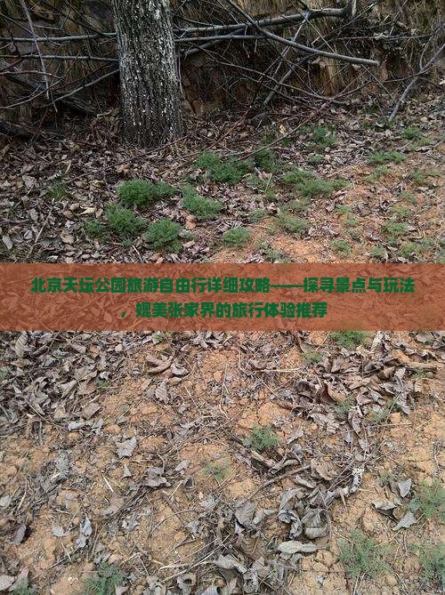 北京天坛公园旅游自由行详细攻略——探寻景点与玩法，媲美张家界的旅行体验推荐