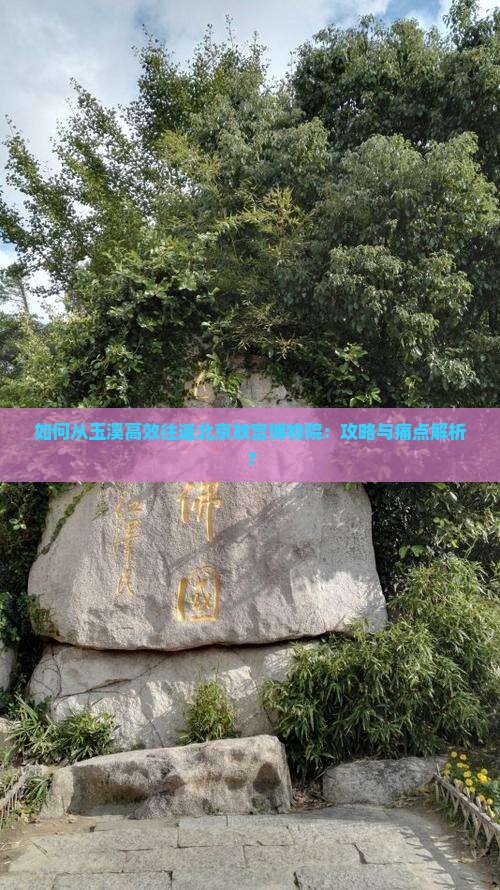 如何从玉溪高效往返北京故宫博物院：攻略与痛点解析？