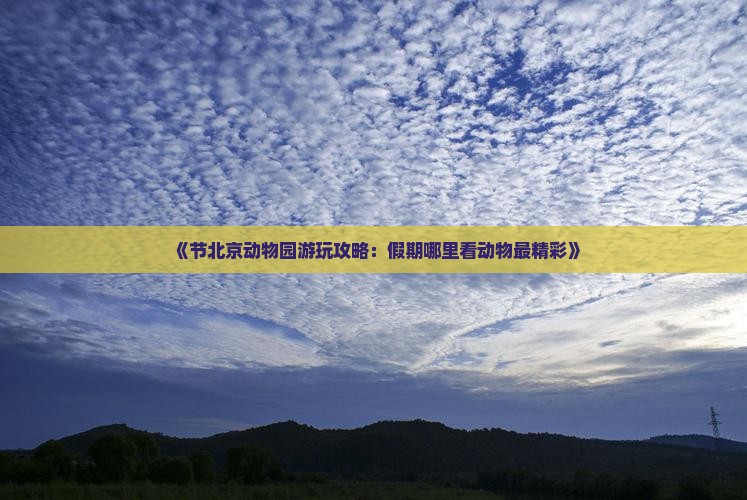 《节北京动物园游玩攻略：假期哪里看动物最精彩》