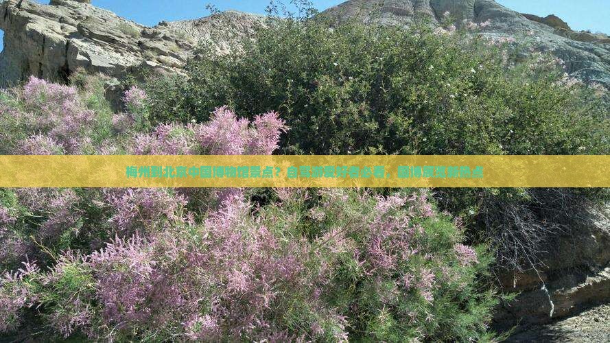 梅州到北京中国博物馆景点？自驾游爱好者必看，国博展览新热点
