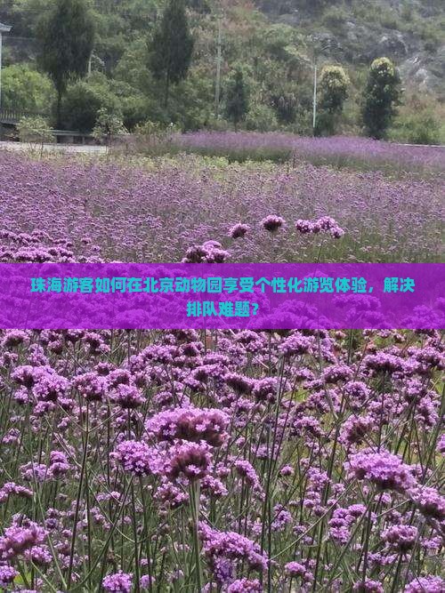 珠海游客如何在北京动物园享受个性化游览体验，解决排队难题？