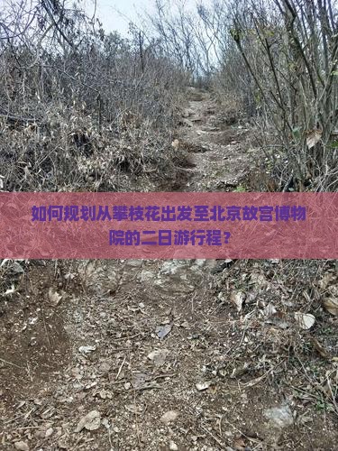如何规划从攀枝花出发至北京故宫博物院的二日游行程？