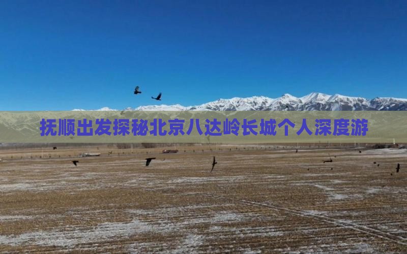抚顺出发探秘北京八达岭长城个人深度游