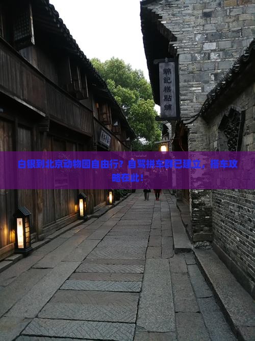 白银到北京动物园自由行？自驾拼车群已建立，搭车攻略在此！