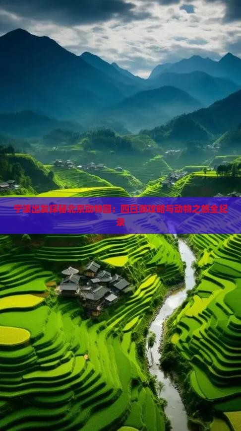 宁波出发探秘北京动物园：四日游攻略与动物之旅全纪录