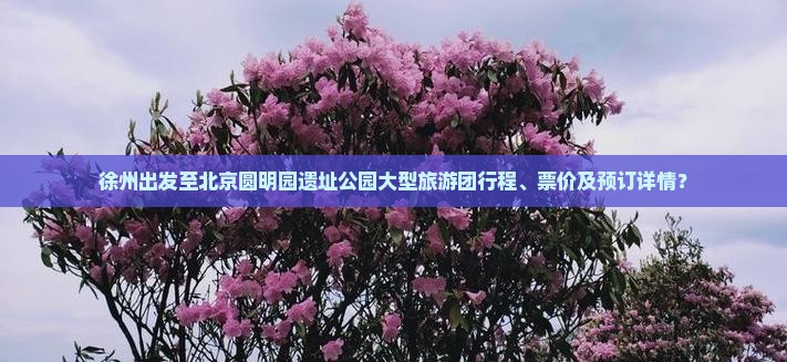 徐州出发至北京圆明园遗址公园大型旅游团行程、票价及预订详情？