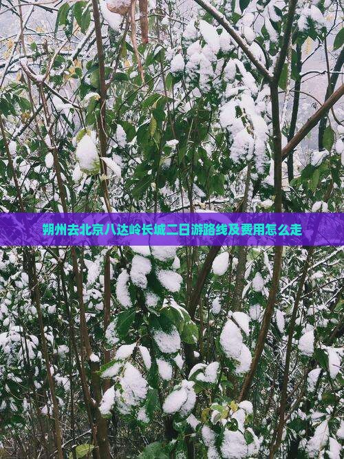 朔州去北京八达岭长城二日游路线及费用怎么走
