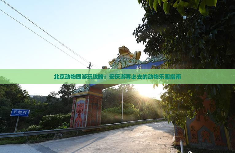 北京动物园游玩攻略：安庆游客必去的动物乐园指南