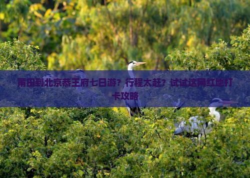 莆田到北京恭王府七日游？行程太赶？试试这网红地打卡攻略