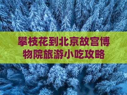 攀枝花到北京故宫博物院旅游小吃攻略