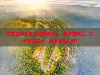 石家庄到北京动物园旅行社？亲子游首选，打卡网红景点，周末去哪儿玩？