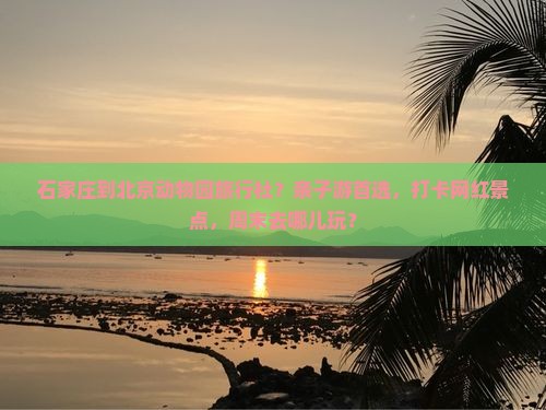 石家庄到北京动物园旅行社？亲子游首选，打卡网红景点，周末去哪儿玩？