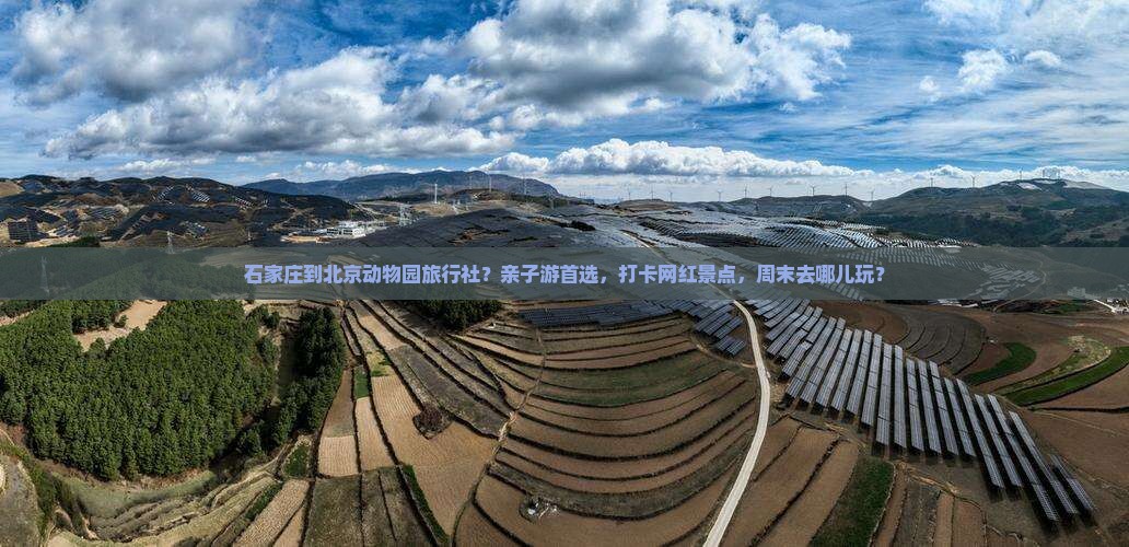 石家庄到北京动物园旅行社？亲子游首选，打卡网红景点，周末去哪儿玩？