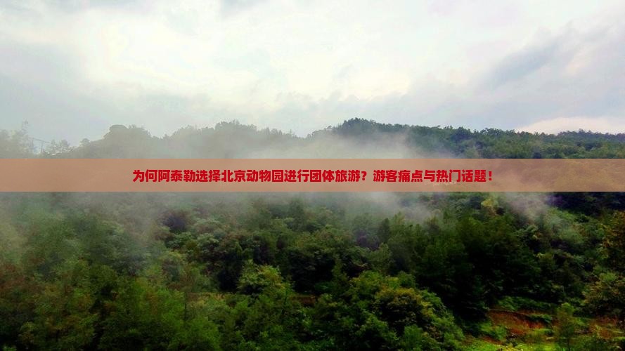 为何阿泰勒选择北京动物园进行团体旅游？游客痛点与热门话题！