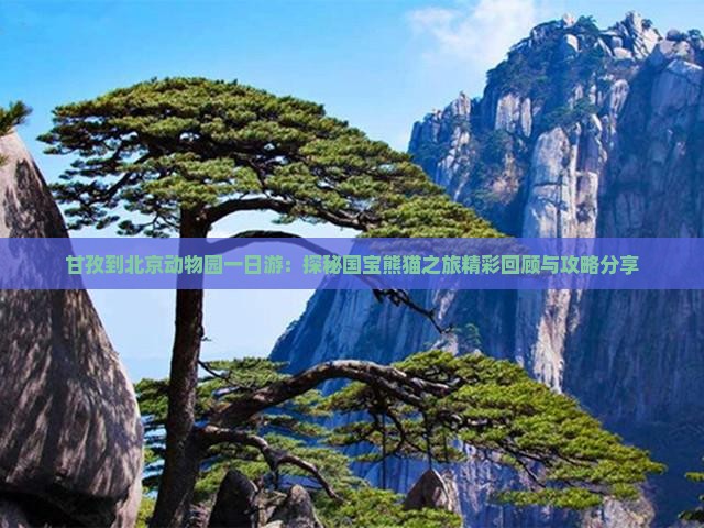 甘孜到北京动物园一日游：探秘国宝熊猫之旅精彩回顾与攻略分享