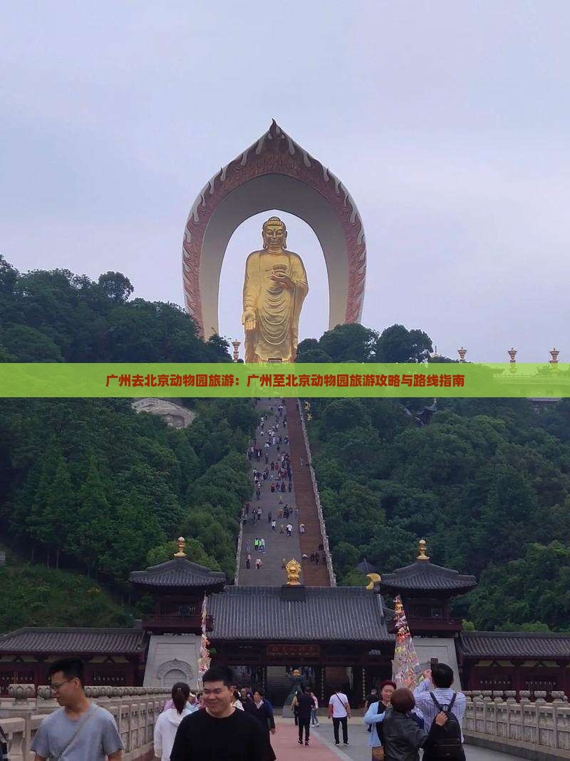 广州去北京动物园旅游：广州至北京动物园旅游攻略与路线指南