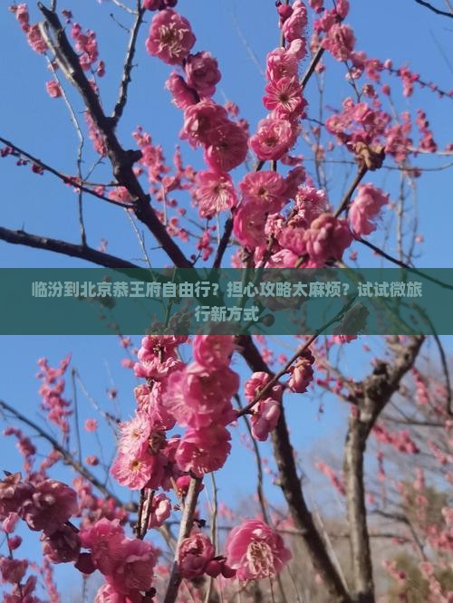 临汾到北京恭王府自由行？担心攻略太麻烦？试试微旅行新方式