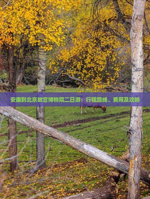安康到北京故宫博物院二日游：行程路线、费用及攻略