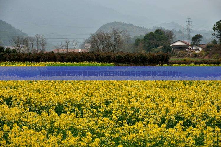 池州出发至北京中国博物馆五日游攻略与行程安排是怎样的？