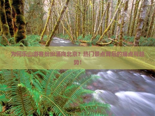 为何乐山游客纷纷涌向北京？热门景点背后的痛点与趋势！