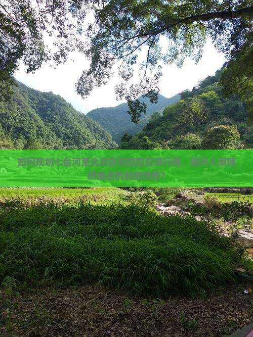 如何规划七台河至北京颐和园四日游行程，避开人潮拥挤痛点的最新攻略？