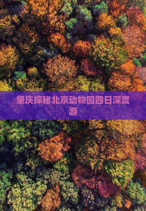 肇庆探秘北京动物园四日深度游