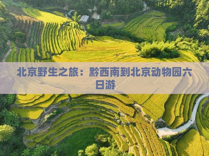 北京野生之旅：黔西南到北京动物园六日游