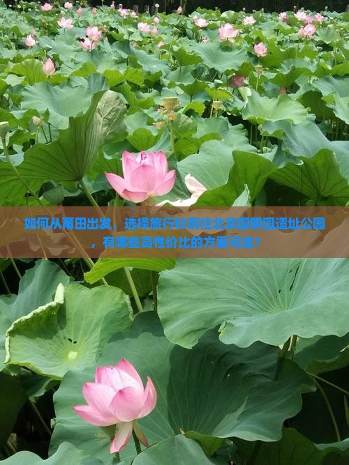 如何从莆田出发，选择旅行社前往北京圆明园遗址公园，有哪些高性价比的方案可选？