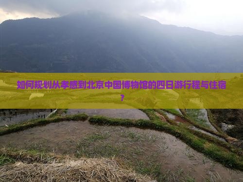 如何规划从孝感到北京中国博物馆的四日游行程与住宿？