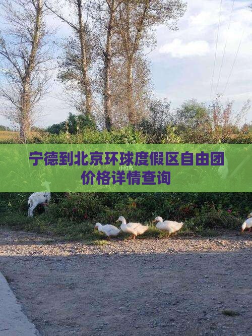 宁德到北京环球度假区自由团价格详情查询