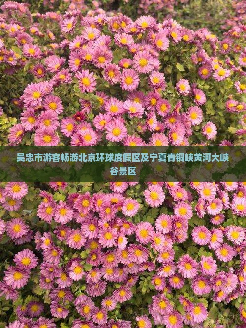 吴忠市游客畅游北京环球度假区及宁夏青铜峡黄河大峡谷景区
