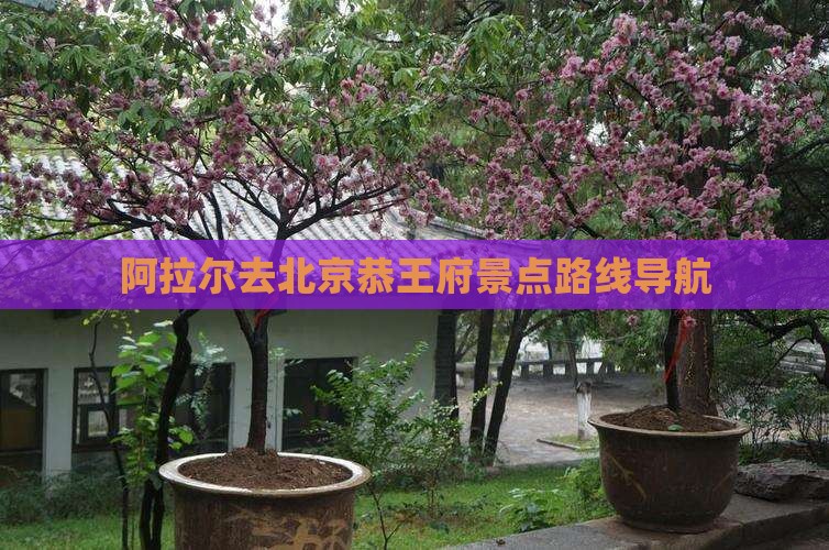 阿拉尔去北京恭王府景点路线导航