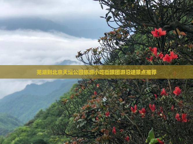 芜湖到北京天坛公园旅游小吃街跟团游沿途景点推荐