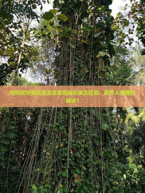 如何规划青岛至北京慕田峪长城三日游，避开人潮拥挤秘诀？
