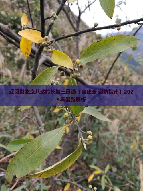 辽阳到北京八达岭长城三日游