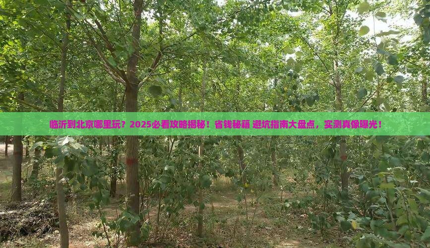 临沂到北京哪里玩