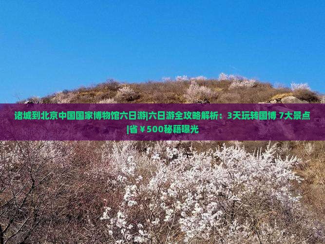 诸城到北京中国国家博物馆六日游