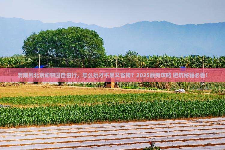 渭南到北京动物园自由行