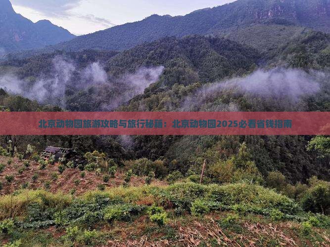 山南去北京动物园旅行社