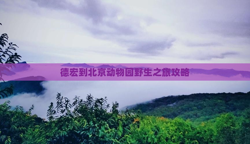 德宏到北京动物园个人游