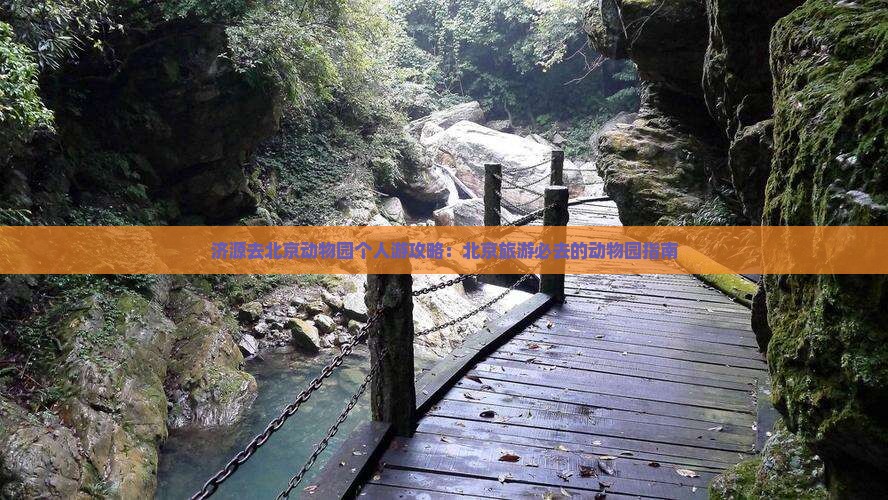 济源去北京动物园个人游