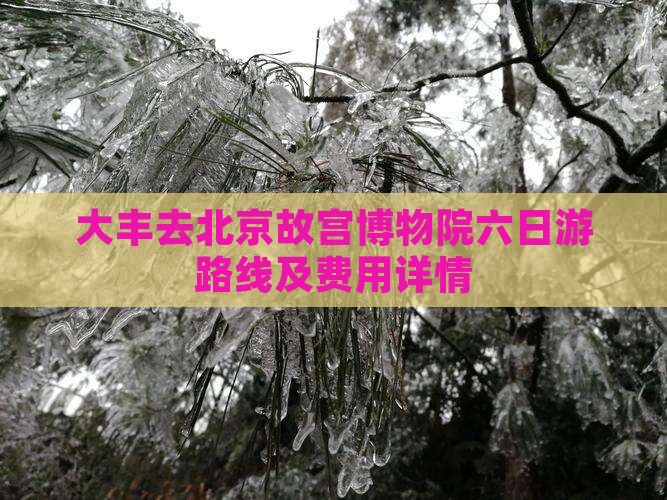 大丰去北京故宫博物院六日游