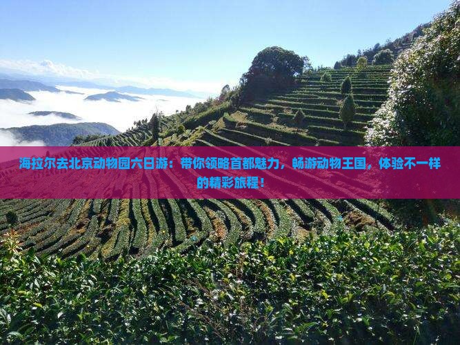 海拉尔去北京动物园六日游