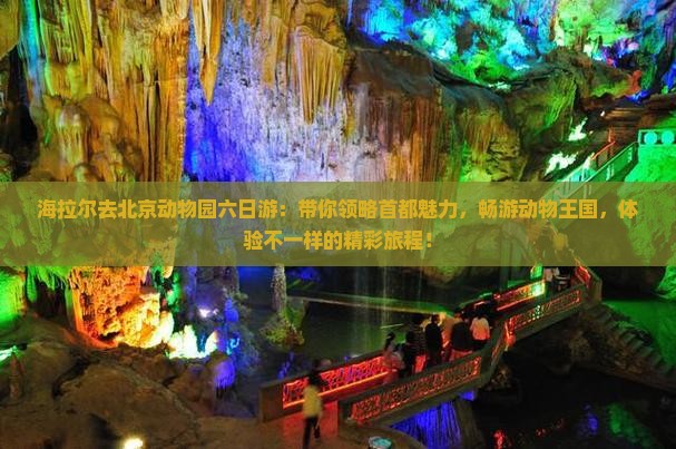 海拉尔去北京动物园六日游