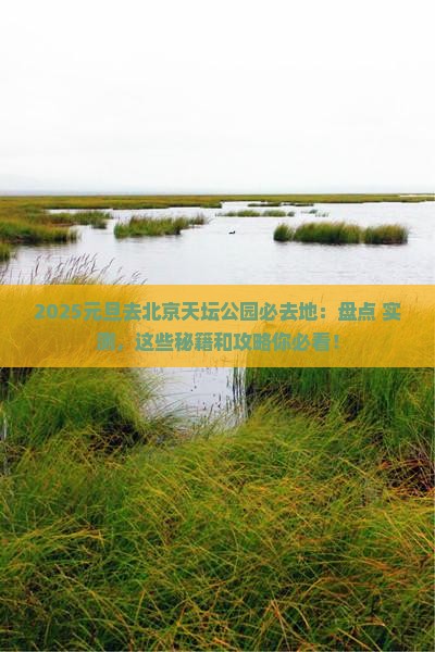 元旦去北京天坛公园必去地
